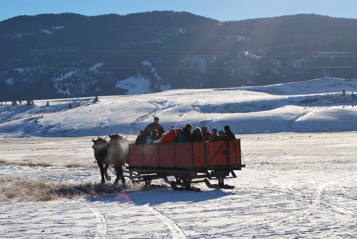 Photos - National Elk Refuge Sleigh Rides